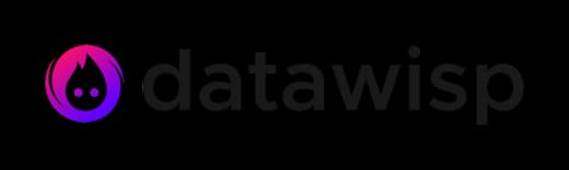 Datawisp's logo