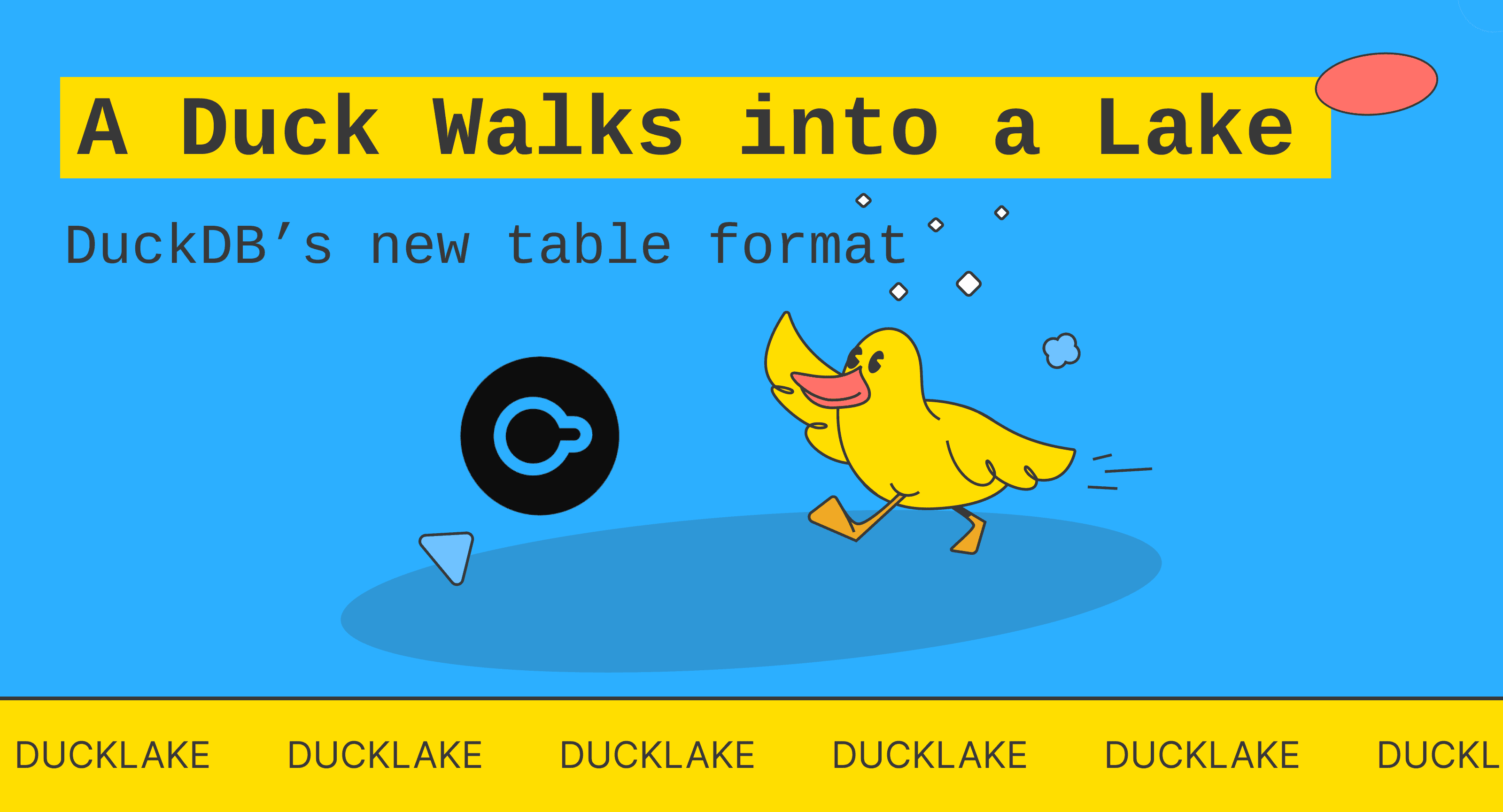 A Duck Walks into a Lake